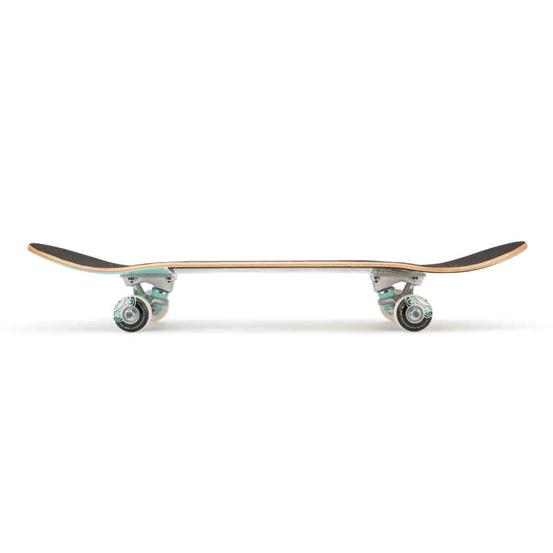 PLANCHE DE SKATE POUR ENFANT 3-7 ANS CP100 MINI TAILLE 7,25" INSECTS 3 PLANCHE DE SKATE POUR ENFANT 3-7 ANS CP100 MINI TAILLE 7,25" INSECTS – Image 3
