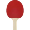 RAQUETTE DE TENNIS DE TABLE PPR 100