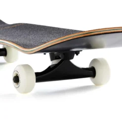 SKATEBOARD COMPLETE 100 GRADIANT PARROT -Sportmania skateboard complete 100 gradiant parrot 4